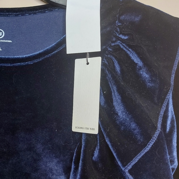 Adriano Goldschmied velvet long sleeve ruffle top - Picture 3 of 6